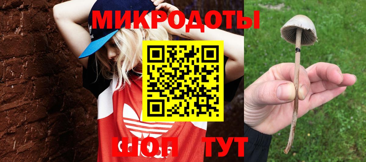 где купить наркоту  Псилоцибиновые грибы Psilocybe  Вход с VPN  Омск 