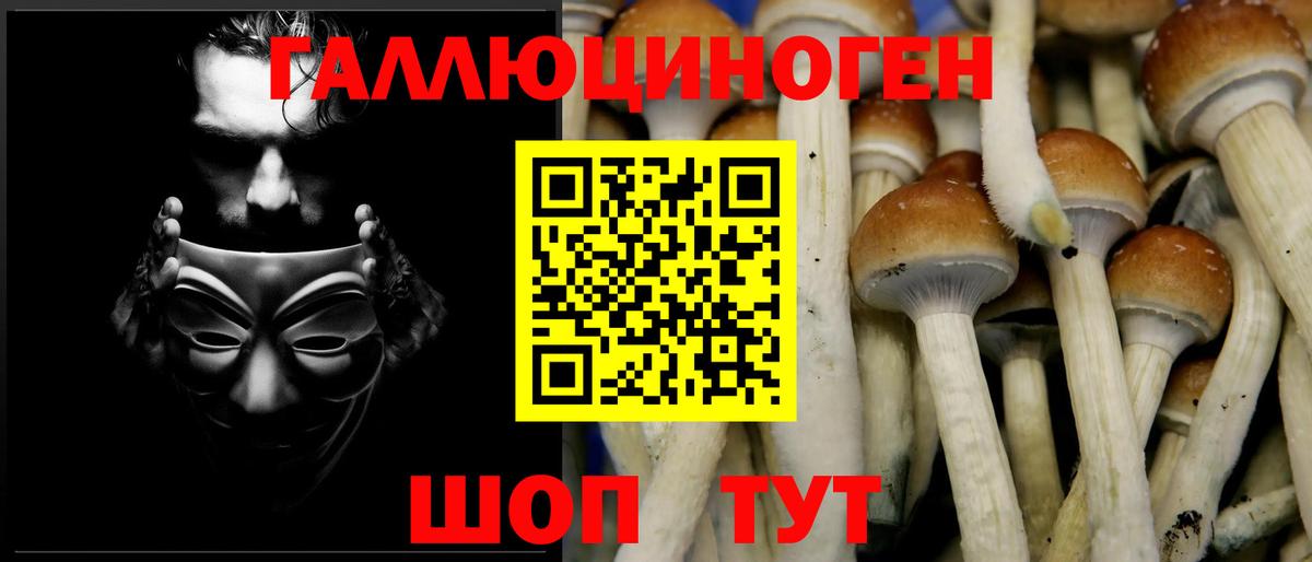 Псилоцибиновые грибы прущие грибы Омск